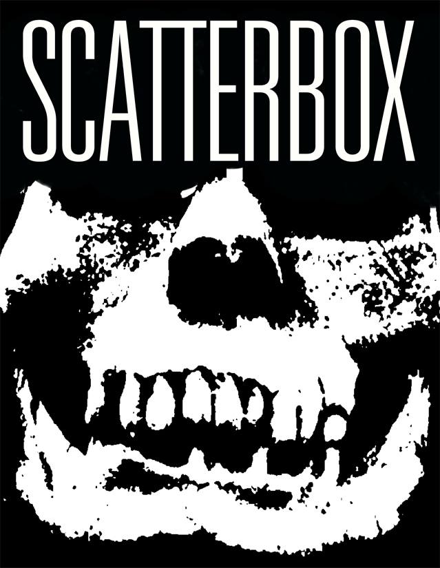 Scatterbox local Coeur D'Alene Idaho Punk Band formed in the Early 2000s